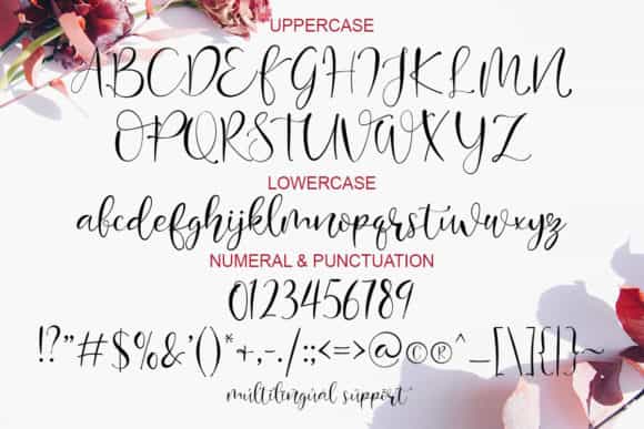 Mondeylla Calligraphy Font Image 4