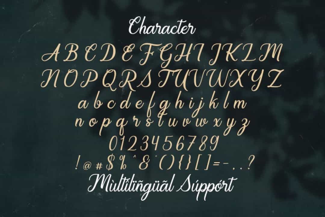 Regalhisa Calligraphy Script Font Image 3