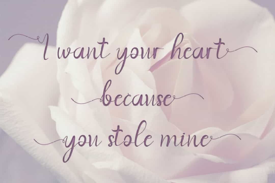 With Danilla Calligraphy Font Image 2