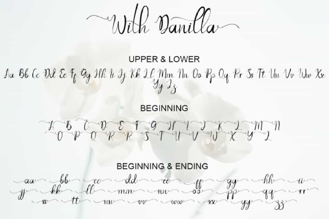 With Danilla Calligraphy Font Image 3