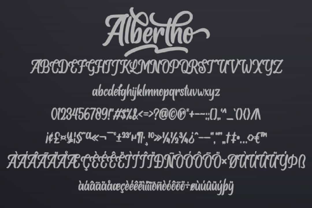 Albertho Bold Script Font Image 3