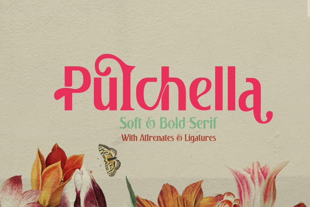 Pulchella Soft & Bold Sans Font Image 1