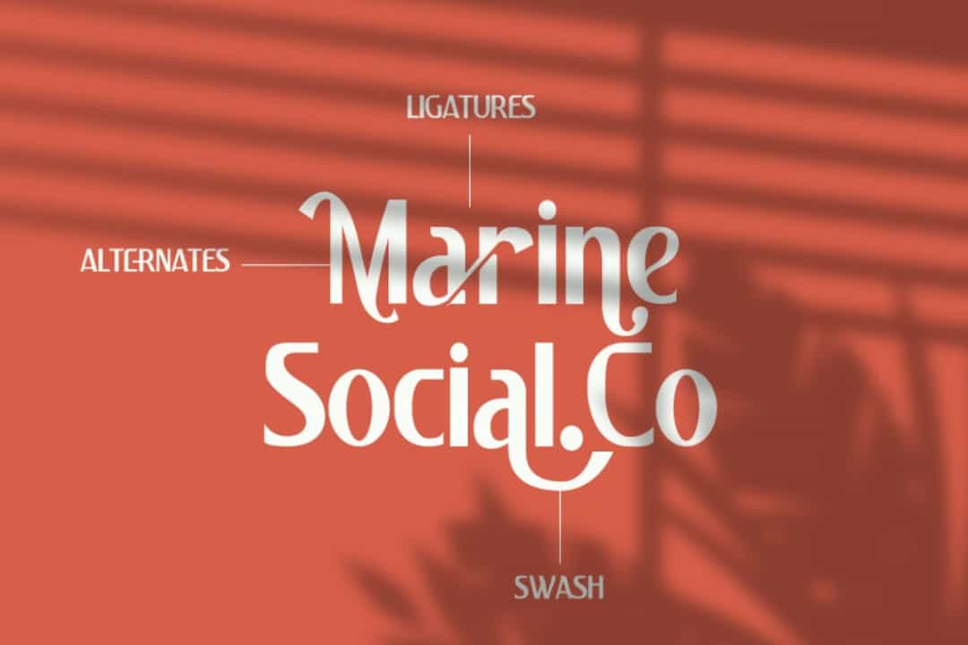 Pulchella Soft & Bold Sans Font Image 2