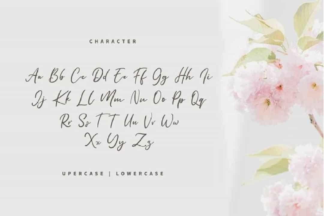 Reallax Reaxion Handwritten Font Image 3