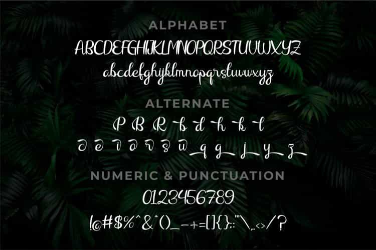 Raliqa Modern Calligraphy Font Image 4