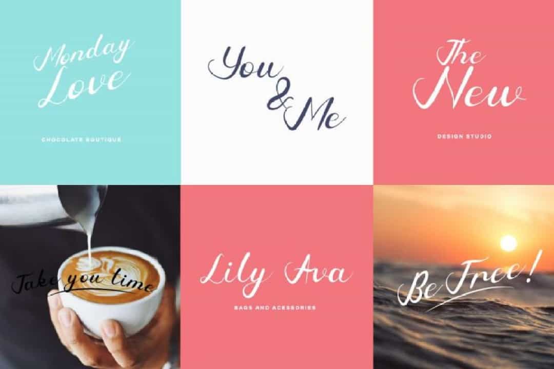Bardlove Calligraphy Script Font Image 2