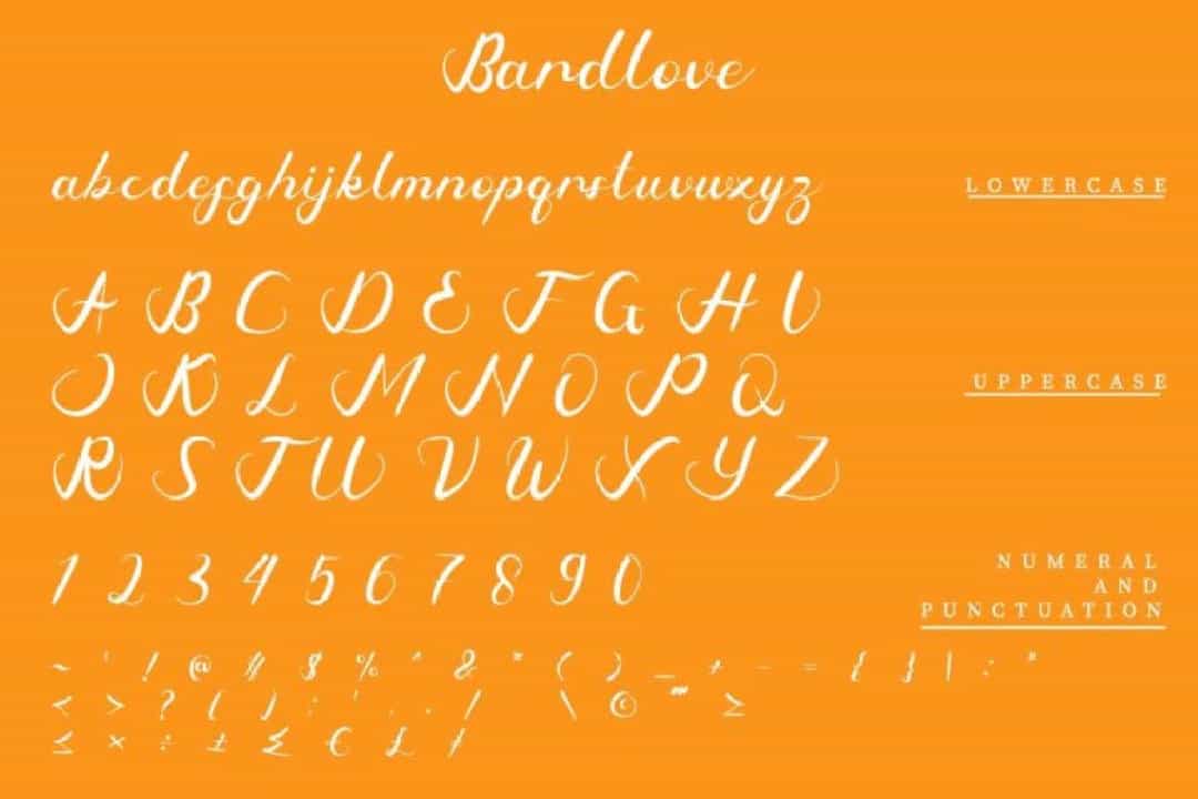 Bardlove Calligraphy Script Font Image 3