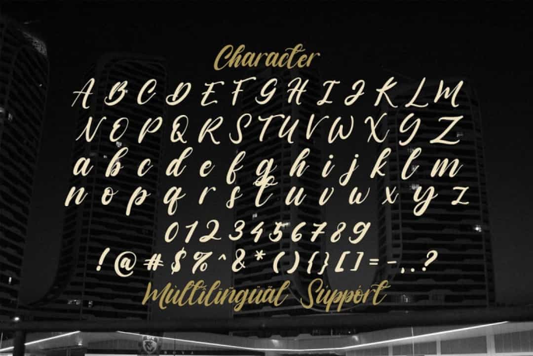 Vagnotie Modern Script Font Image 3