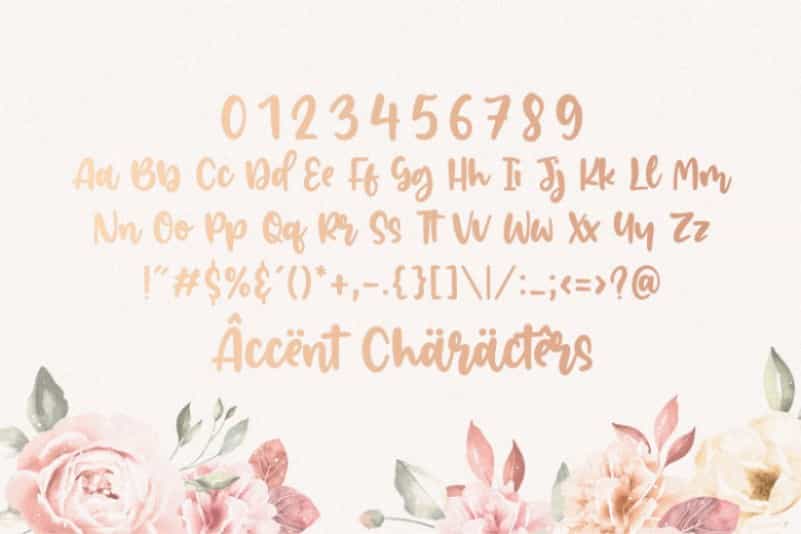 Jacklin Modern Handwritten Font Image 3
