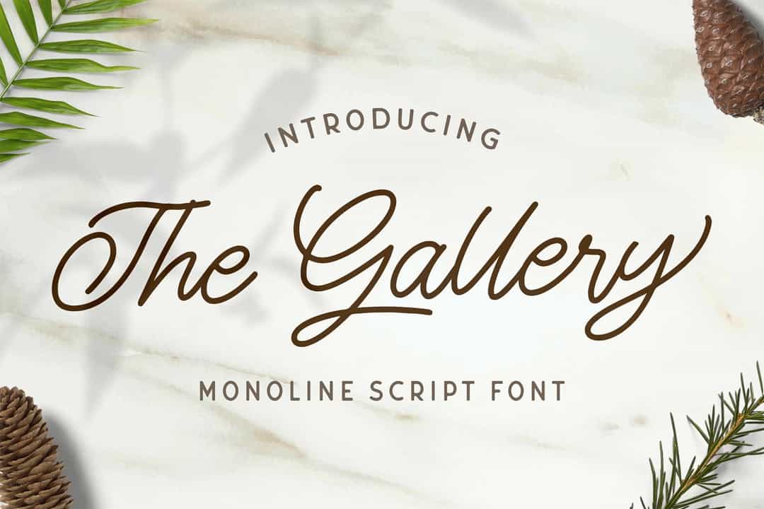 The Gallery Monoline Script Font Image 1