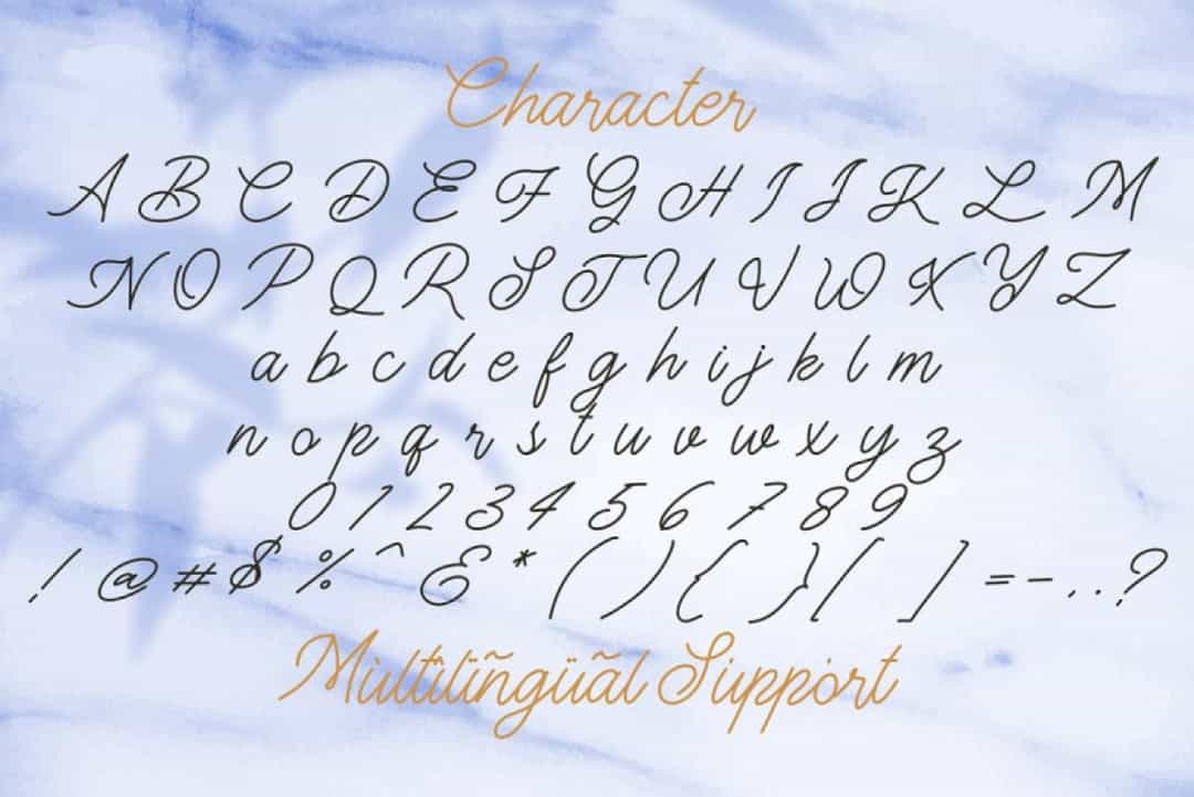 The Gallery Monoline Script Font Image 3