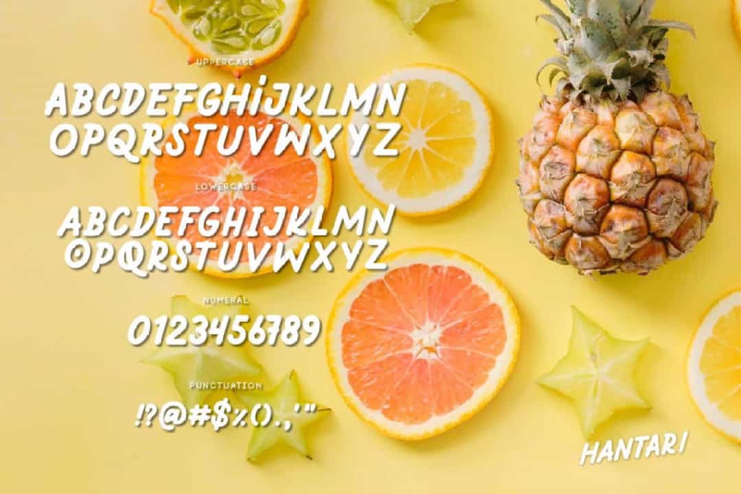 Hantari Sans Serif Font Image 4