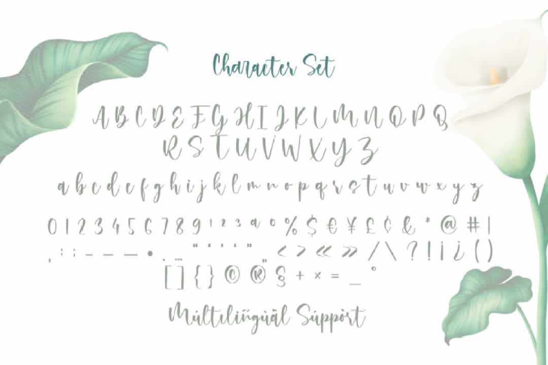 Rossi Mithori Calligraphy Script Font Image 3