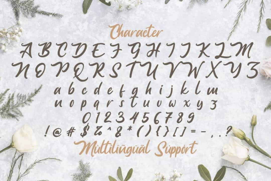Anjelica Bold Script Font Image 4