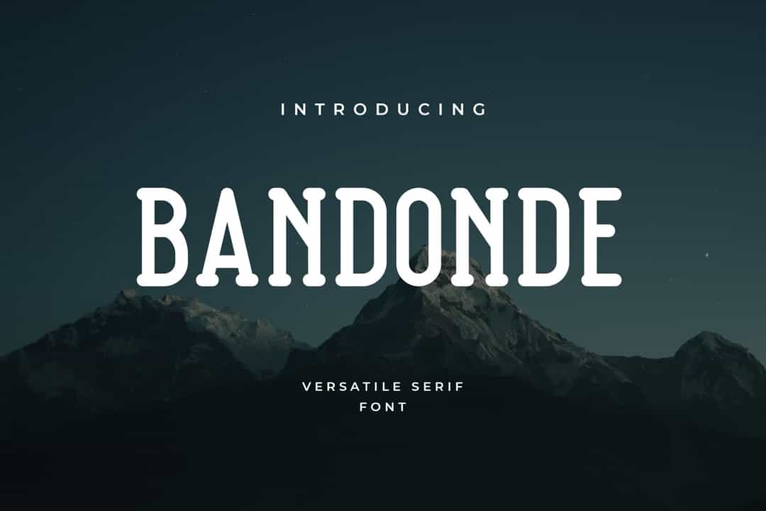 Bandonde Versatile Serif Font Image 1
