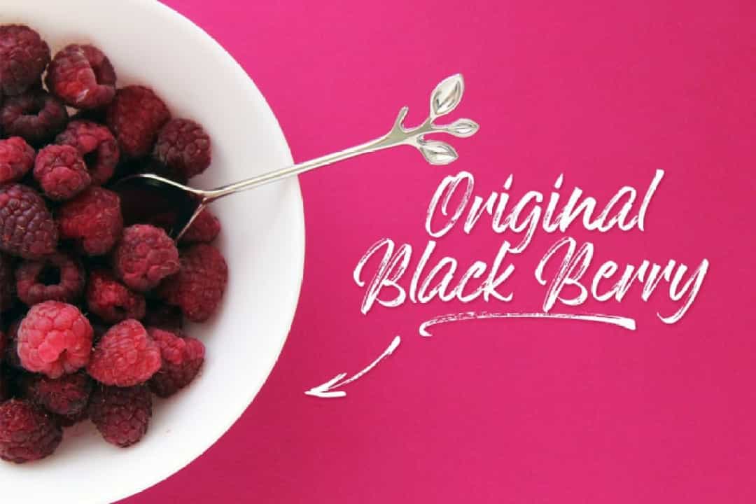 Hokagata Brush Script Font Image 2
