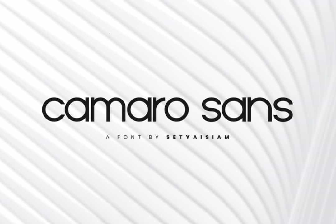Camaro Sans Font Image 1