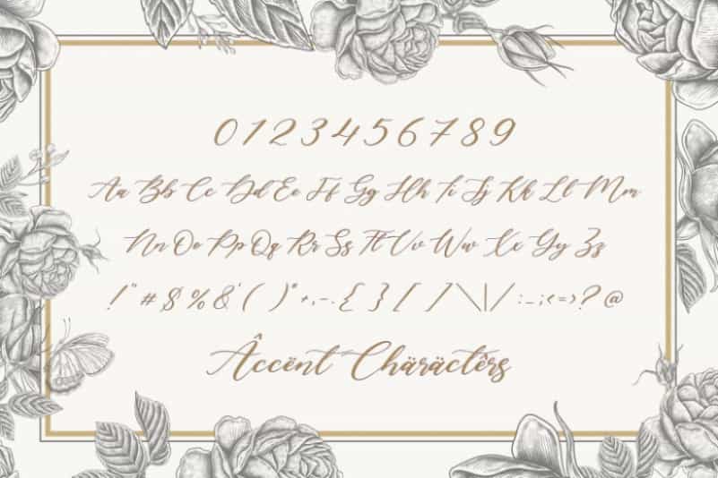 Lavineta Eisley Luxury Calligraphy Font Image 4