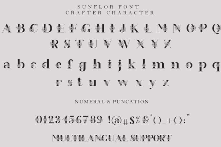 Sunflor Serif Font Image 2