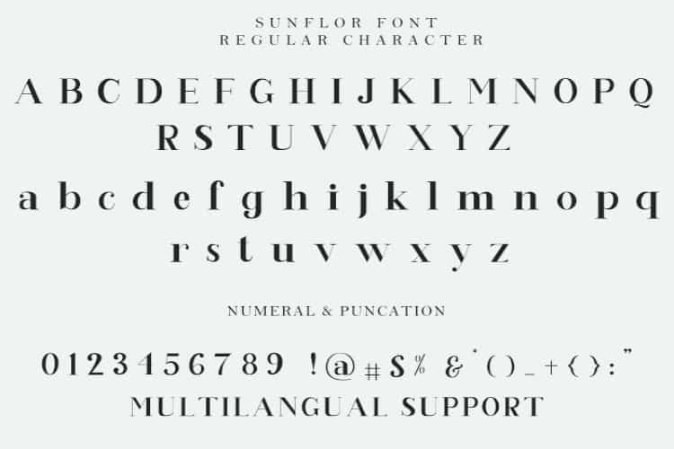 Sunflor Serif Font Image 3