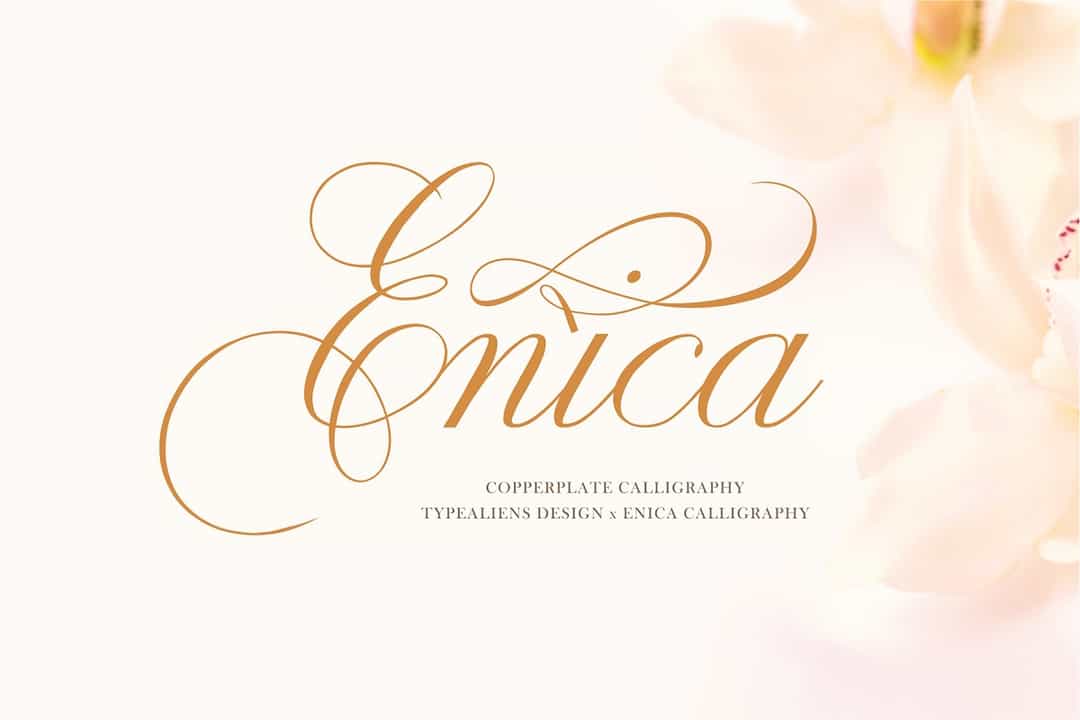 Enica Calligraphy Font Image 1