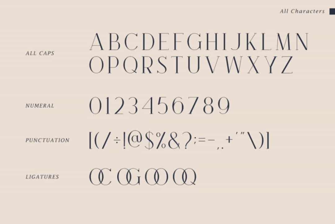 Brooke Serif Font Image 3