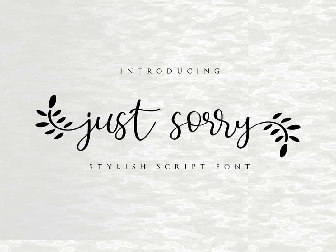 Just Sorry Calligraphy Script Font Image 1