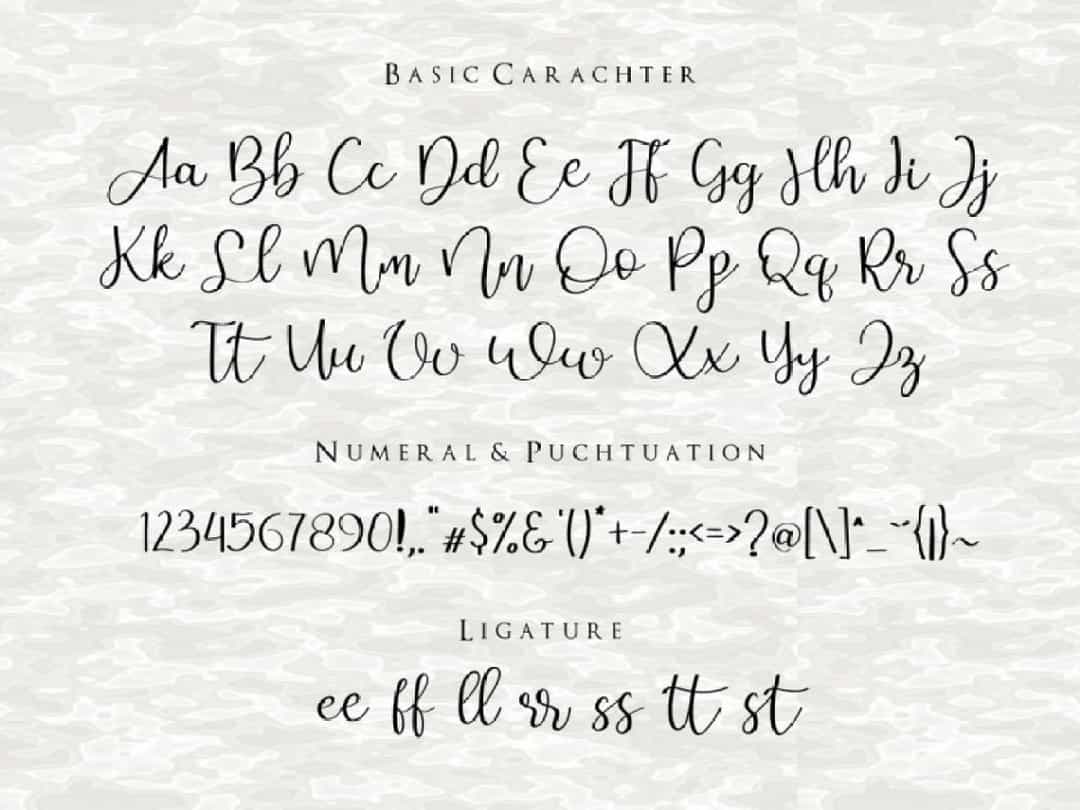Just Sorry Calligraphy Script Font Image 3