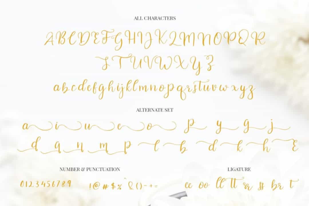 Celinetta Modern Calligraphy Font Image 3