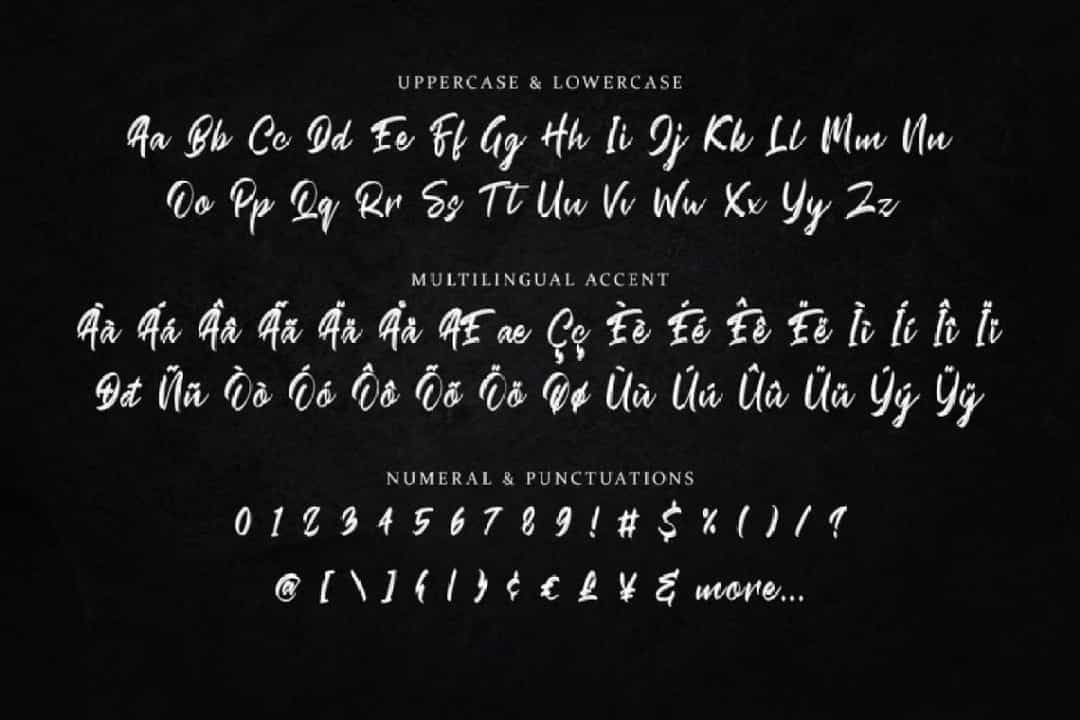 Crash Soul Brush Script Font Image 3