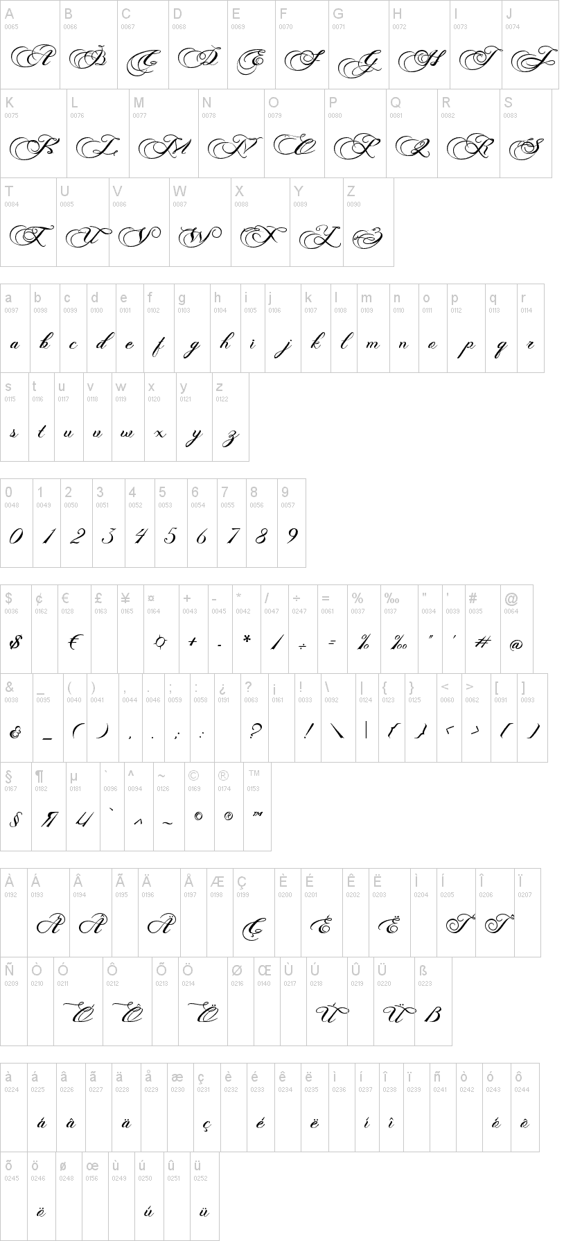 Photograph Script Font Image 2
