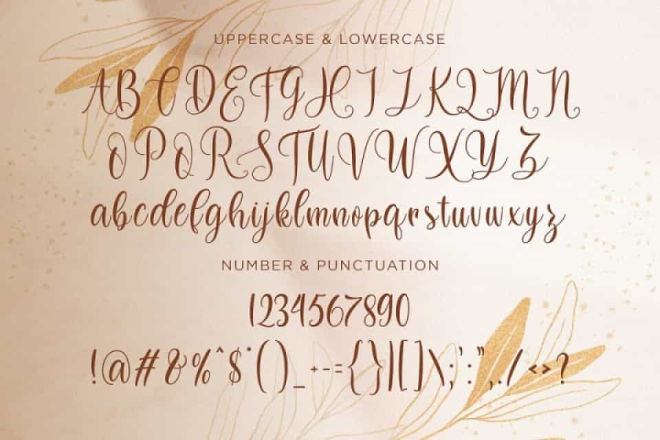 Dilan Whemsy Calligraphy Script Font Image 3