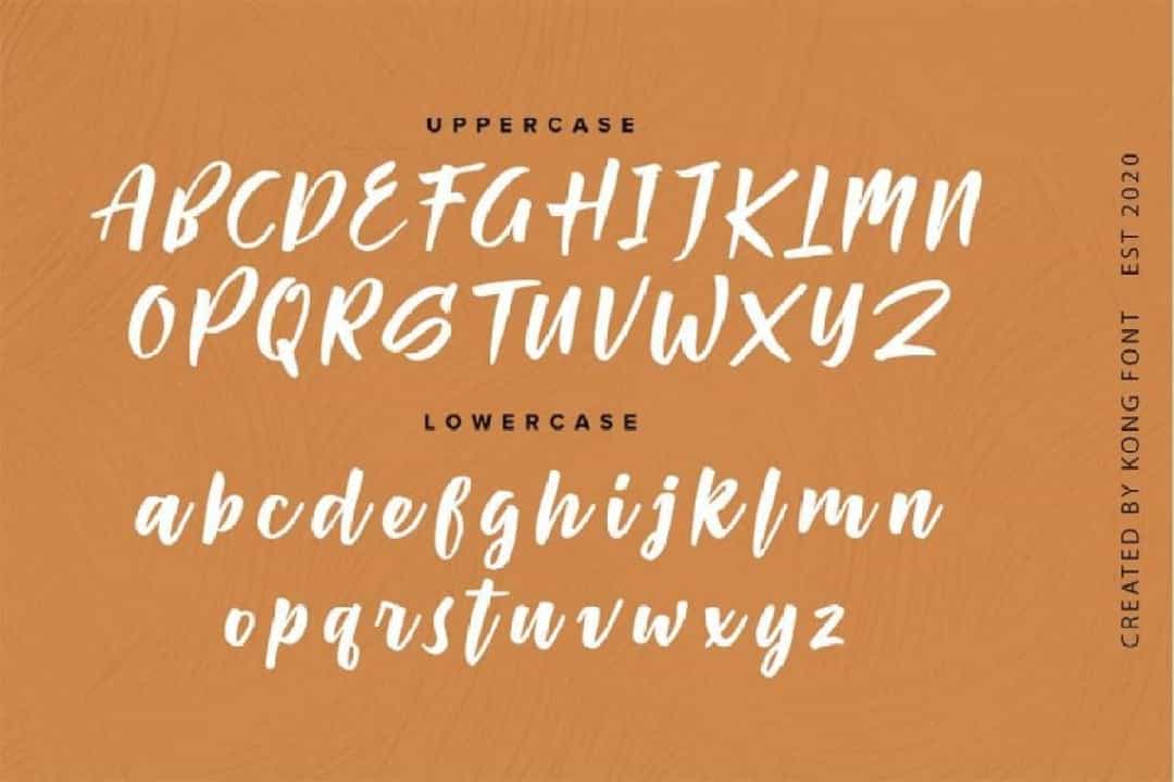 Passifille Bold Script Font Image 2