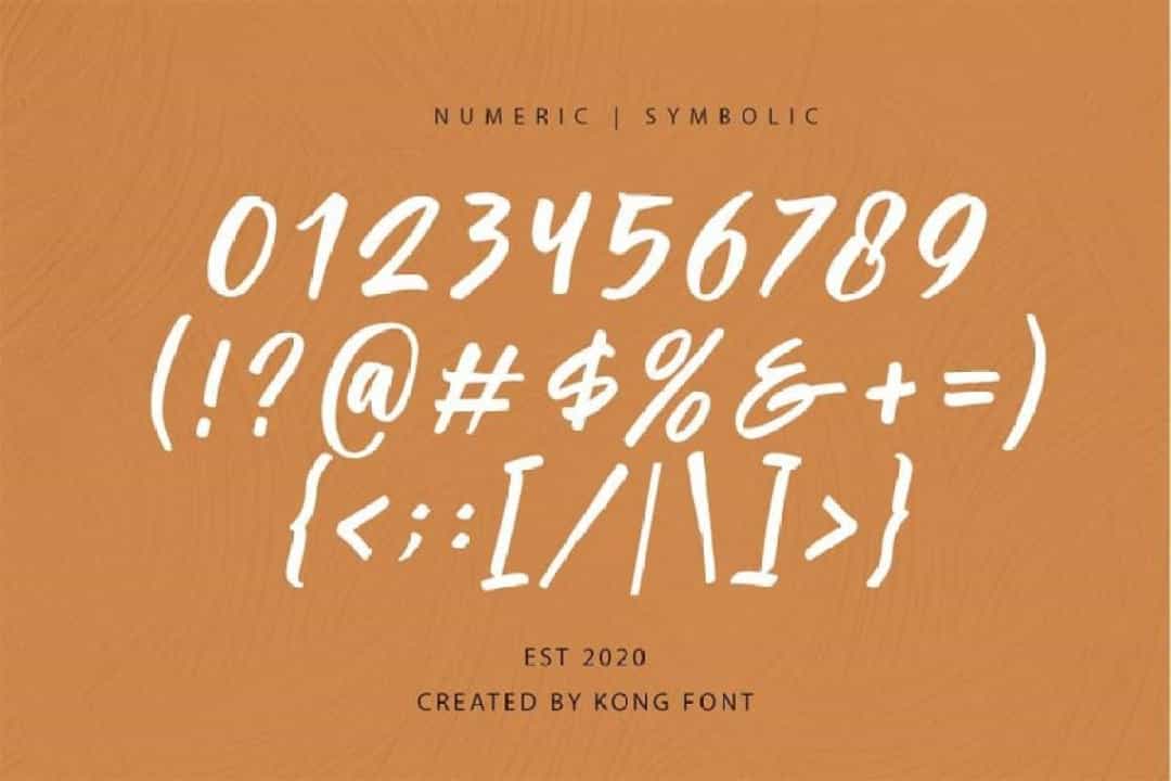 Passifille Bold Script Font Image 3
