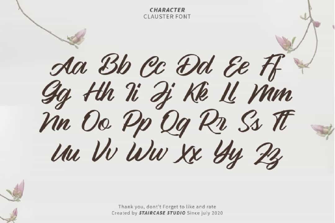 Clauster Script Font Image 3