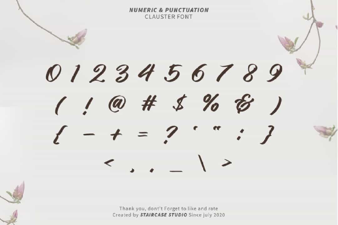 Clauster Script Font Image 4