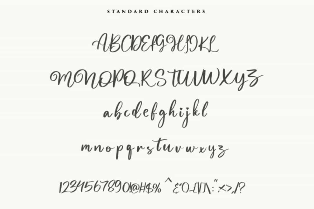 Magnolia Bold Calligraphy Script Font Image 3