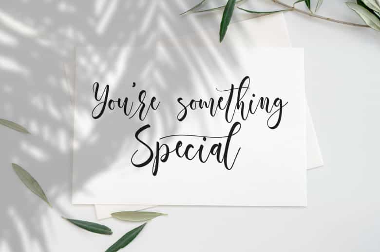 Mella Modern Calligraphy Font Image 2