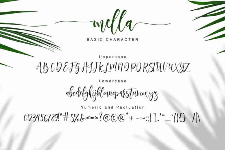Mella Modern Calligraphy Font Image 3