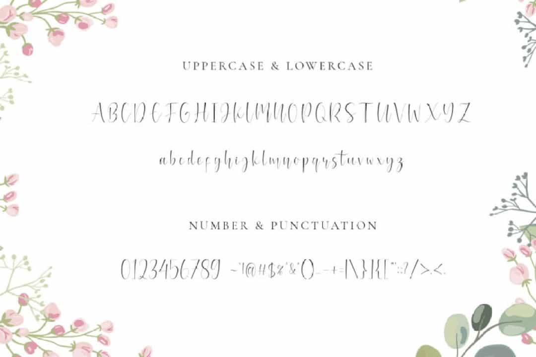 Mianty Calligraphy Script Font Image 3