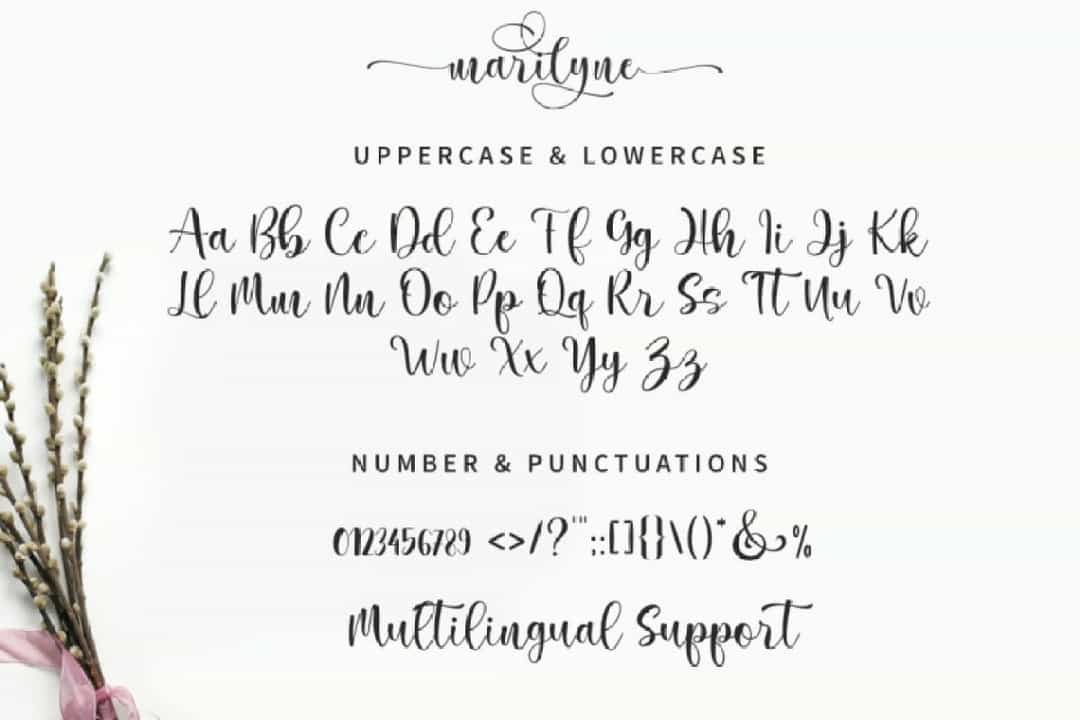 Marilyne Modern Calligraphy Font Image 3