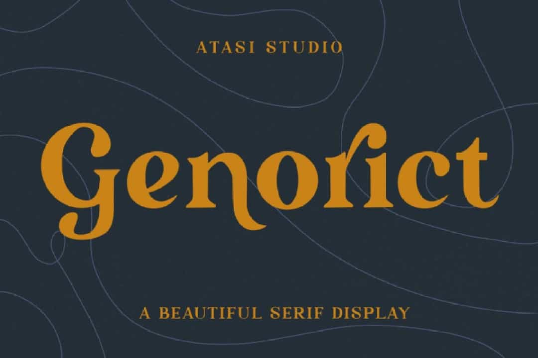 Genorict Serif Display Font Image 1