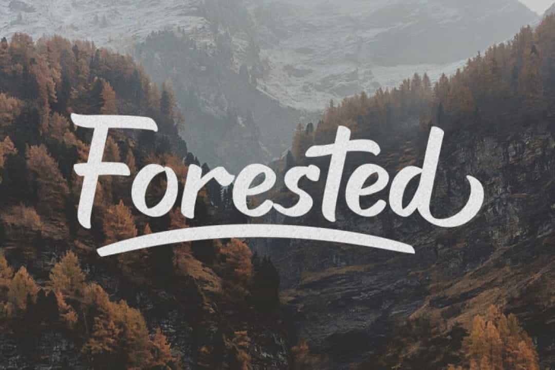 Haigl Rapture Bold Script Font Image 2