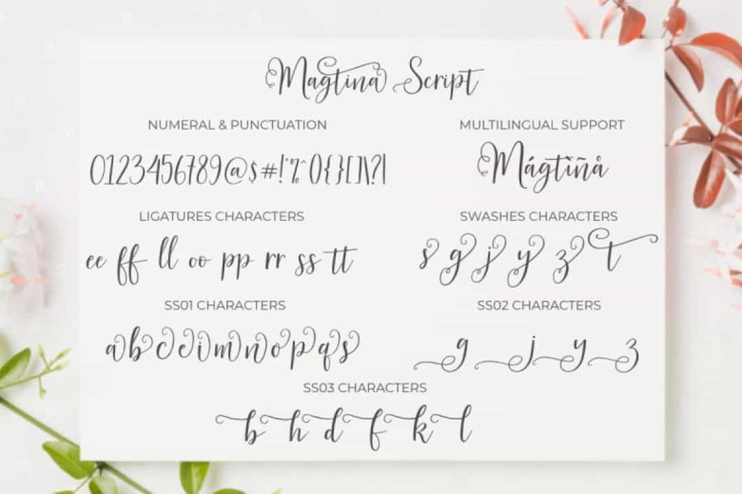 Magtina Calligraphy Script Font Image 4