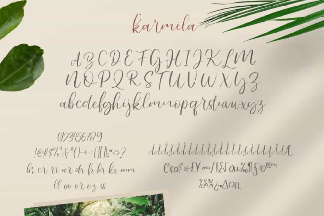 Karmila Handwritten Script Font Image 3