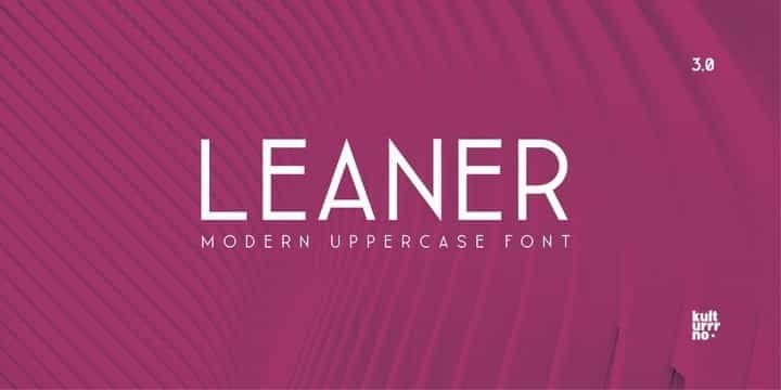 Leaner Sans Serif Font Image 1