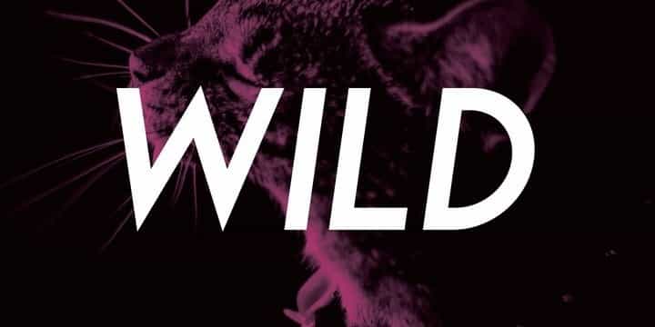 Leaner Sans Serif Font Image 3