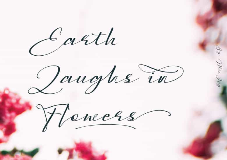 Sarony Handwritten Script Font Image 2