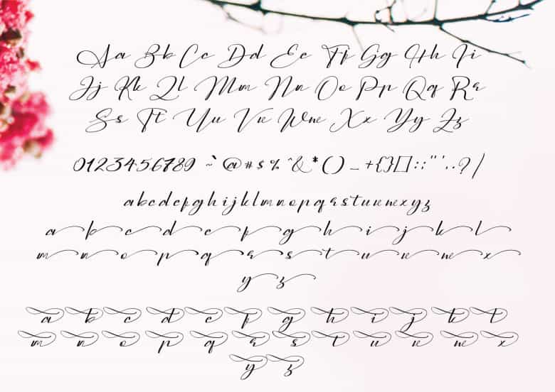Sarony Handwritten Script Font Image 3