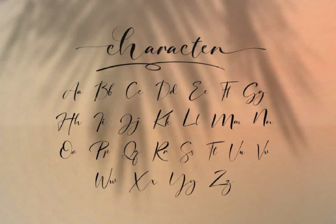 Signature Photopedia Font Image 3